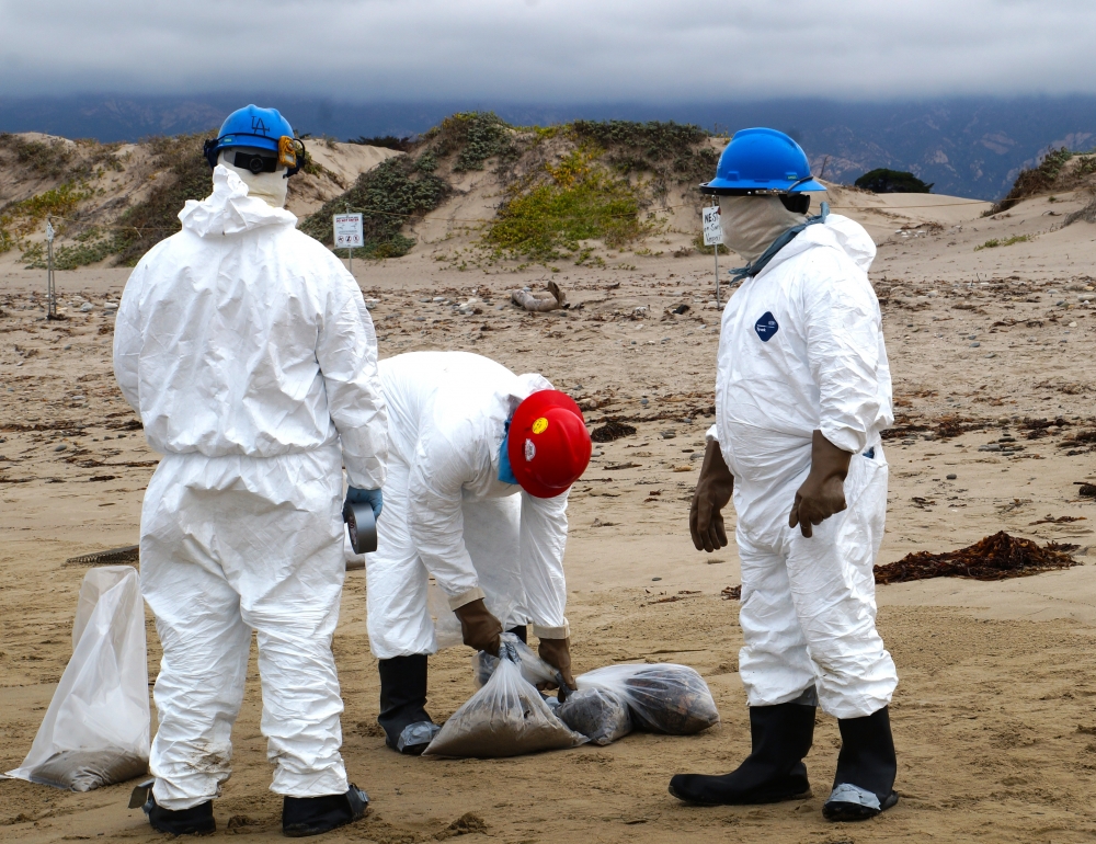 A cleanup crew responding to the Refugio oil spill bags tar found on the beach at UCSB's Coal Oil Point Reserve