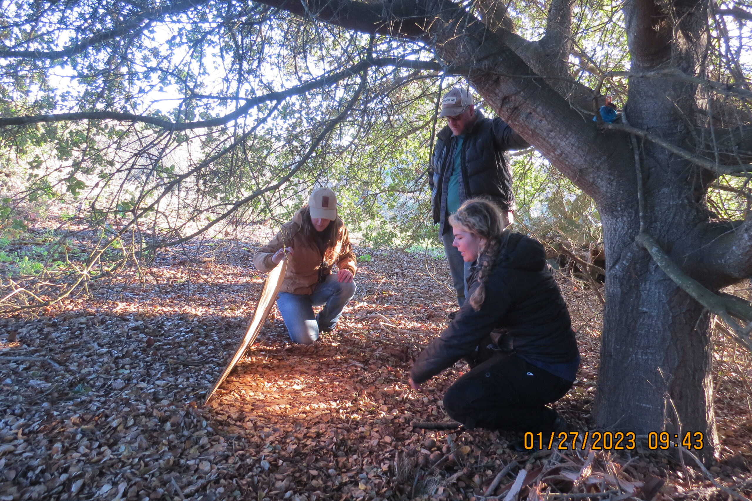 Students checking herptile boards