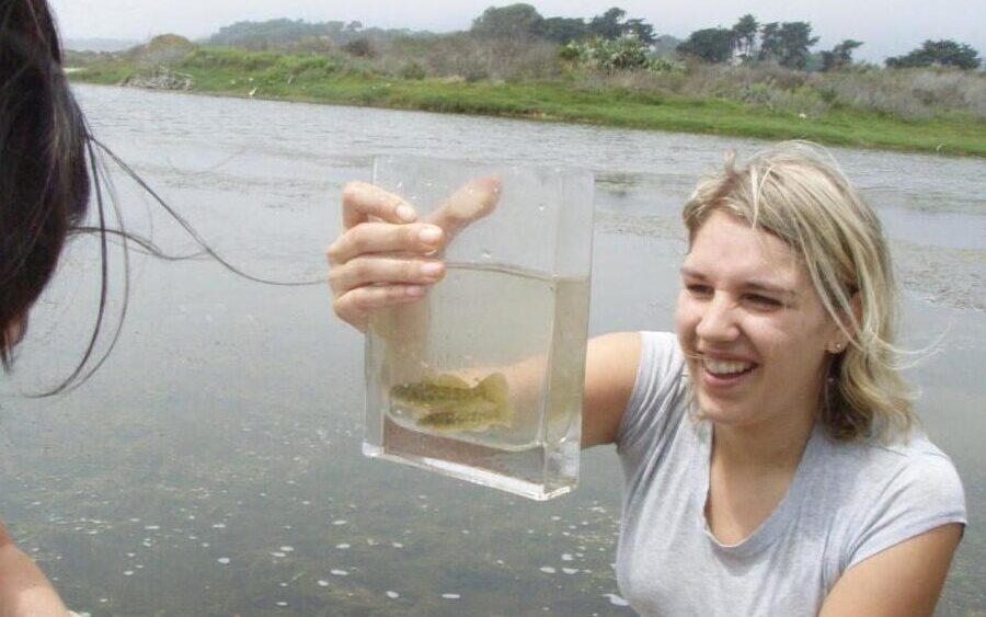 Devereux Slough Monitoring-intern fish ID