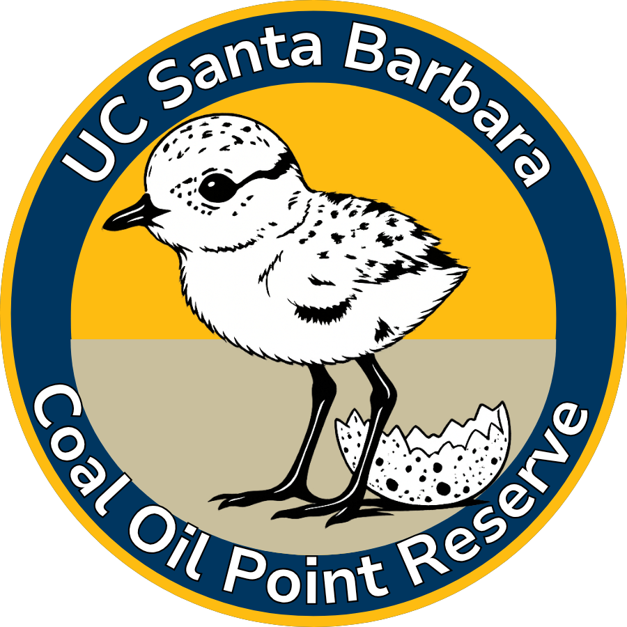 Coal Oil Point Natural Reserve