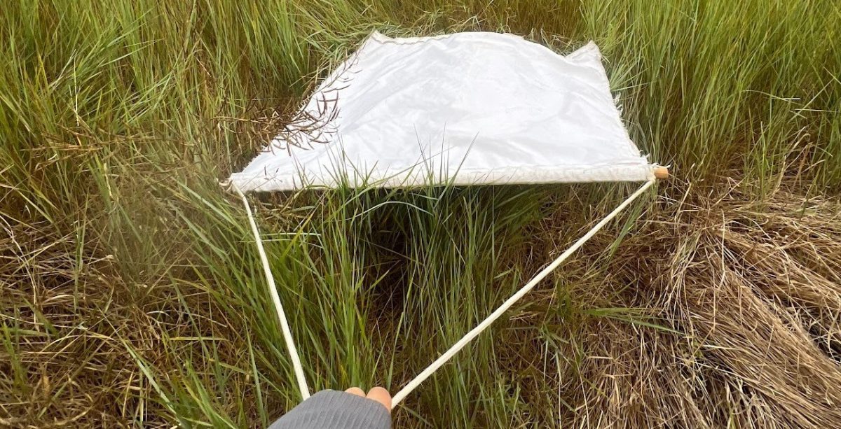 Cloth used for tick dragging